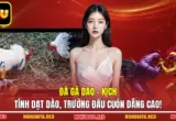 Đá Gà Dao - Kịch Tính Dạt Dào, Trường Đấu Cuốn Dâng Cao!