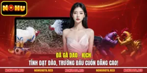 Đá Gà Dao - Kịch Tính Dạt Dào, Trường Đấu Cuốn Dâng Cao!