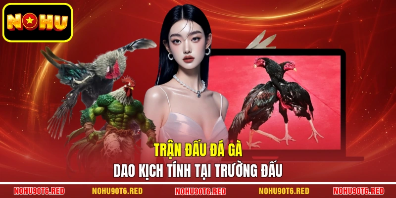 Trận đấu đá gà dao kịch tính tại trường đấu